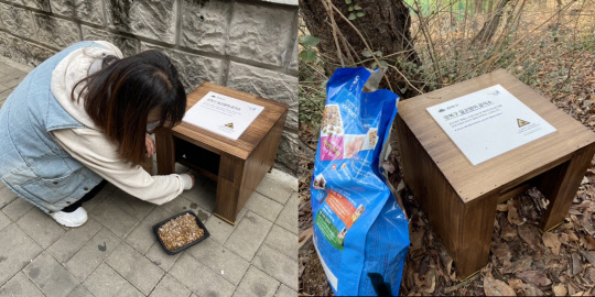 서울 강북구가 '길고양이 공공급식소'를 운영하는 가운데, 길고양이 돌보미 자원봉사자가 급식소에 사료를 넣어두는 모습(왼쪽). 오른쪽은 공원 인근에 설치된 길고양이 급식소.[사진=강북구 제공]